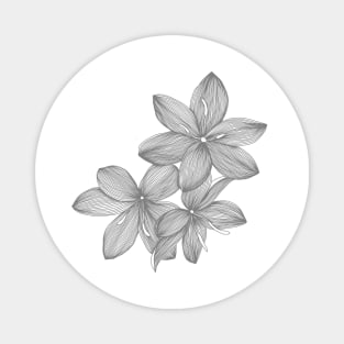 Hand drawn pencil flowers Magnet